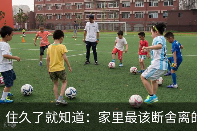 住久了就知道：家里最该断舍离的是这10样东西，房子越住越顺心