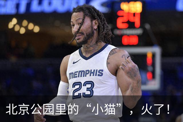 北京公园里的“小猫”，火了！