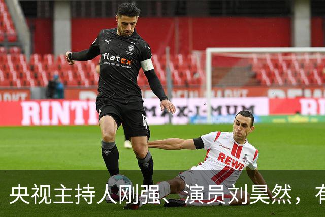 央视主持人刚强、演员刘昊然，有新身份