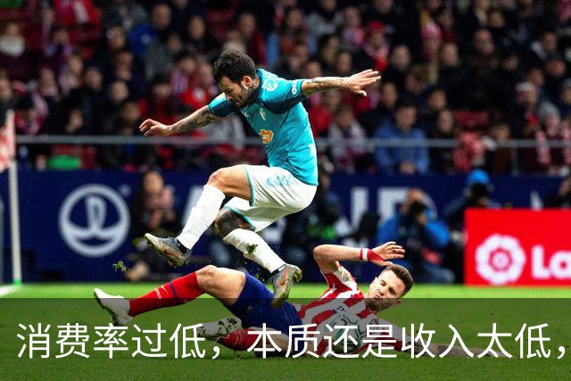 消费率过低，本质还是收入太低，提高分配收入才是重点