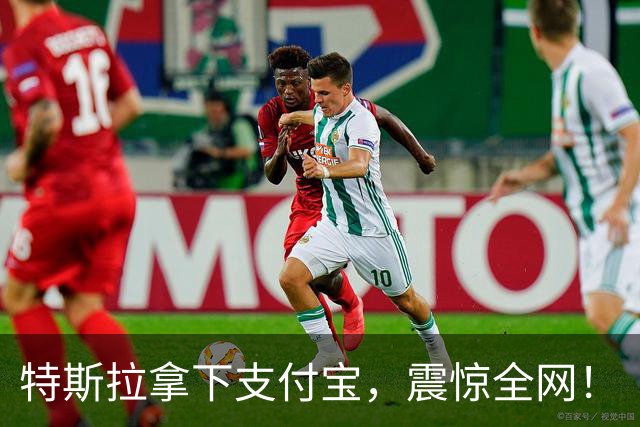 特斯拉拿下支付宝，震惊全网！