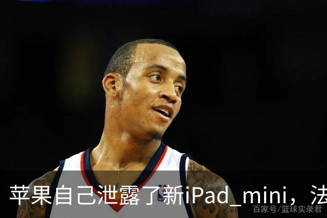 苹果自己泄露了新iPad mini，法国官网先露了馅