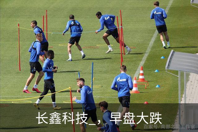 长鑫科技 ，早盘大跌