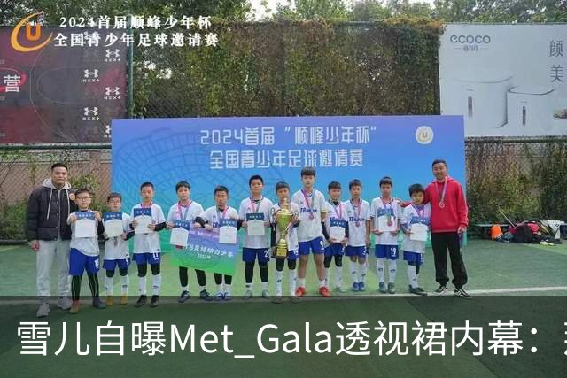 雪儿自曝Met Gala透视裙内幕：那块布料在美国竟不合法